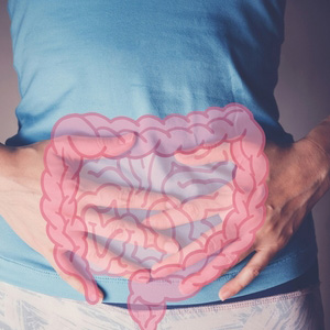 Illustration of the digestive system over a person’s torso for bowel disease.